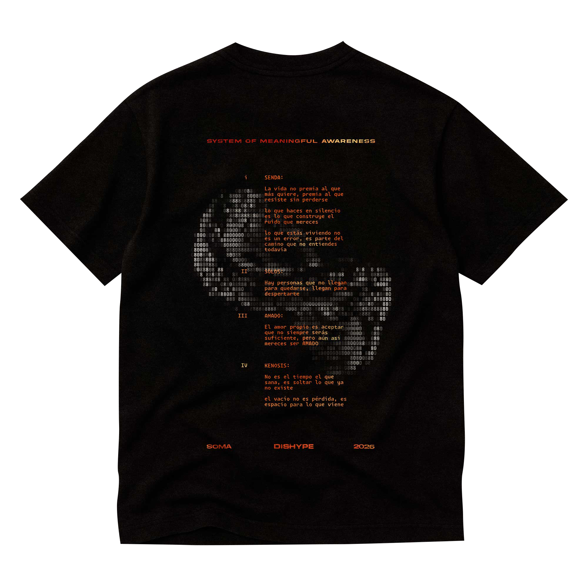 Camiseta DISHYPE Negra | SOMA